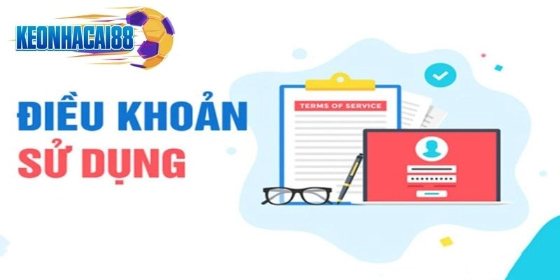 4 lý do trang web thiết lập điều khoản