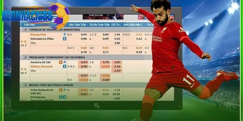 Chuyên trang xếp hạng nhà cái được người chơi tin tưởng